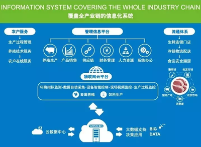 中國生豬產業企業數字化發展加速 牧原、溫氏、正邦、新希望積極布局